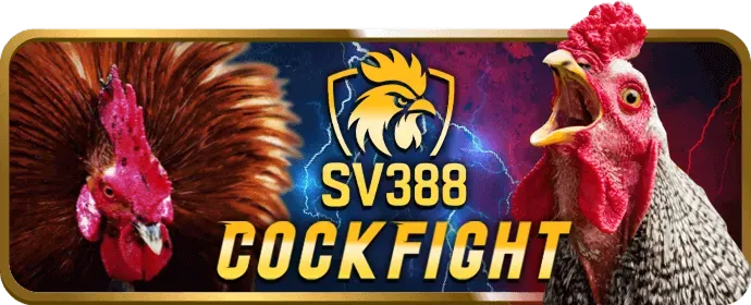 Cá cược thể thao đỉnh cao tại 789live